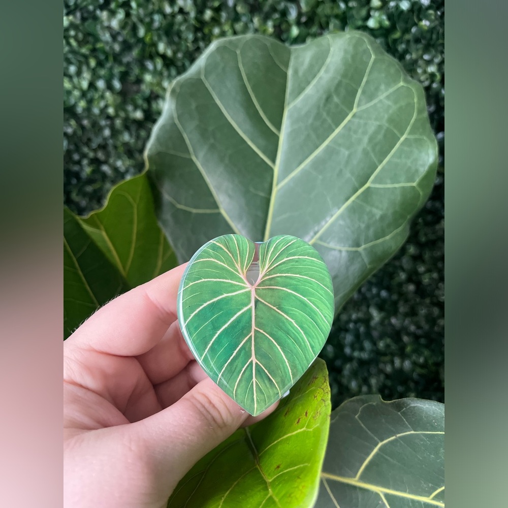 Plant Leaf phone grip